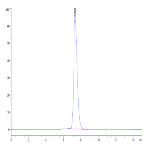 Mouse MDL-1/CLEC5A Protein (CLE-MM25A)
