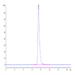 Mouse CLEC7A Protein (CLE-MM27A)