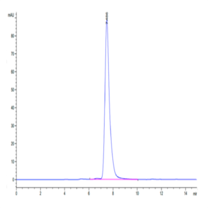 Mouse CLEC7A Protein (CLE-MM27A)