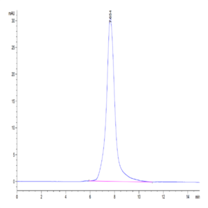 Mouse CLEC9A Protein (CLE-MM29A)
