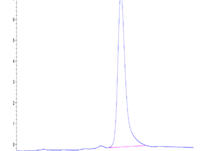 Mouse Clusterin Protein (CLN-MM101)