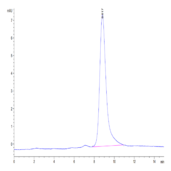 Mouse Clusterin Protein (CLN-MM101) Mouse Clusterin Protein (CLN-MM101)