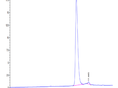 SARS-CoV-2 3CLpro/3C-like Protease Protein (H172Y) (COV-VE0LB)