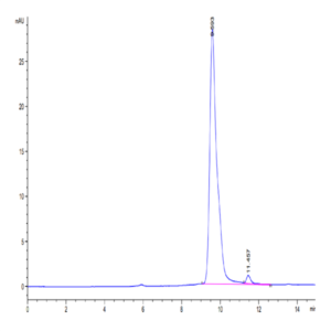 SARS-CoV-2 3CLpro/3C-like Protease Protein (S144A) (COV-VE0LC)