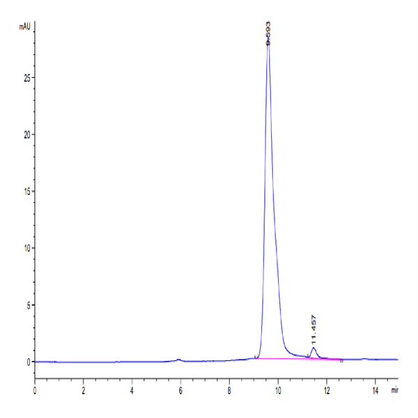 SARS-CoV-2 3CLpro/3C-like Protease Protein (S144A) (COV-VE0LC) SARS-CoV-2 3CLpro/3C-like Protease Protein (S144A) (COV-VE0LC)
