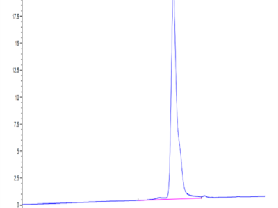 SARS-CoV-2 3CLpro/3C-like Protease Protein (F140A) (COV-VE0LD)