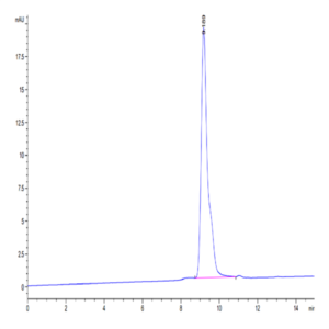 SARS-CoV-2 3CLpro/3C-like Protease Protein (A191V) (COV-VE0LF)