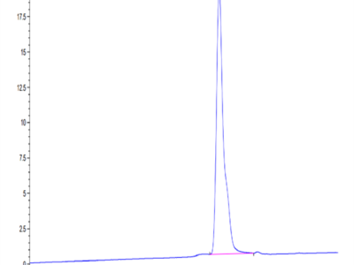 SARS-CoV-2 3CLpro/3C-like Protease Protein (A191V) (COV-VE0LF)