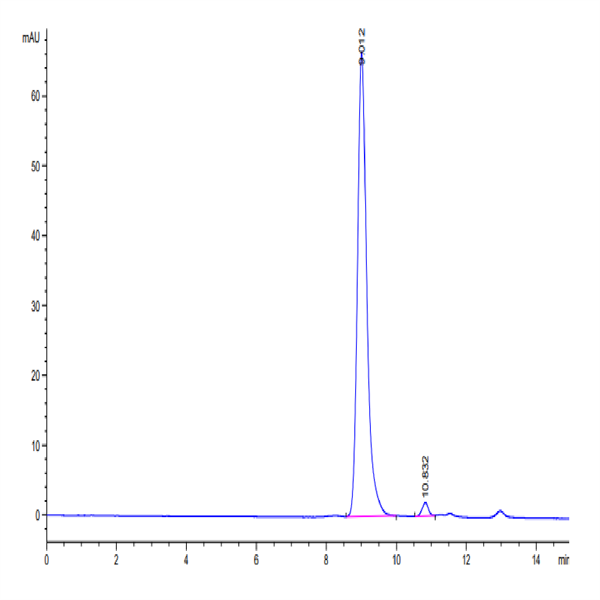 SARS-CoV-2 3CLpro/3C-like Protease Protein (A191T) (COV-VE0LG) SARS-CoV-2 3CLpro/3C-like Protease Protein (A191T) (COV-VE0LG)