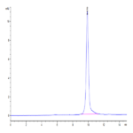 SARS-CoV-2 3CLpro/3C-like Protease Protein (L167F) (COV-VE0LH)