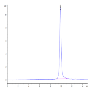 SARS-CoV-2 3CLpro/3C-like Protease Protein (L167F) (COV-VE0LH)