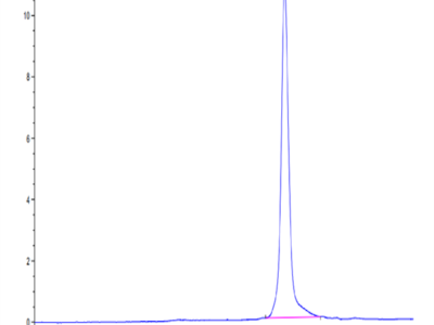 SARS-CoV-2 3CLpro/3C-like Protease Protein (L167F) (COV-VE0LH)