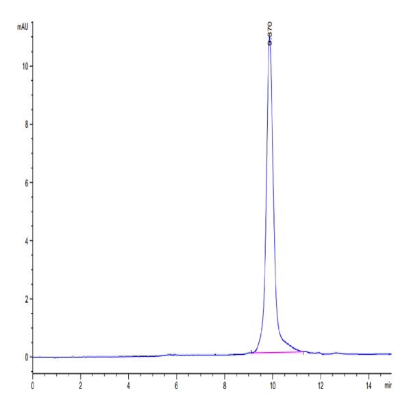SARS-CoV-2 3CLpro/3C-like Protease Protein (L167F) (COV-VE0LH) SARS-CoV-2 3CLpro/3C-like Protease Protein (L167F) (COV-VE0LH)