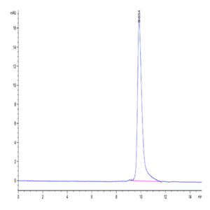 SARS-CoV-2 3CLpro/3C-like Protease Protein (E166A) (COV-VE0LI)