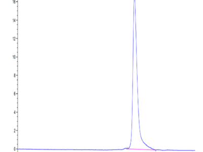 SARS-CoV-2 3CLpro/3C-like Protease Protein (E166A) (COV-VE0LI)