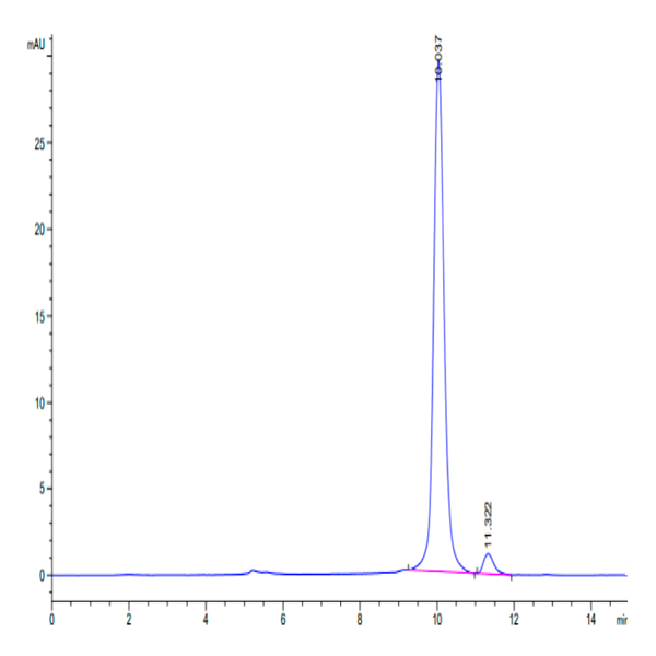 SARS-CoV-2 3CLpro/3C-like Protease Protein (L50F SARS-CoV-2 3CLpro/3C-like Protease Protein (L50F