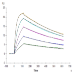 SARS-COV-2 Spike RBD (N501Y) Protein (COV-VM1BY)