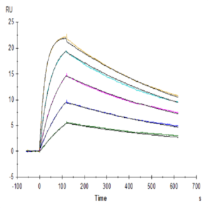 SARS-COV-2 Spike RBD (N501Y) Protein (COV-VM1BY)