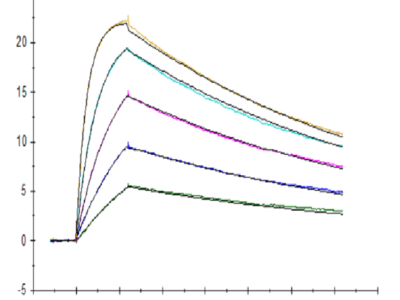 SARS-COV-2 Spike RBD (N501Y) Protein (COV-VM1BY)