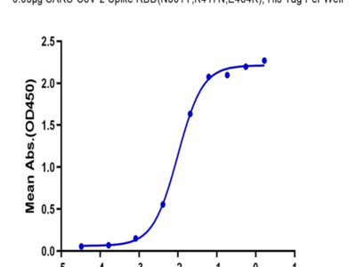 SARS-COV-2 Spike RBD (N501Y