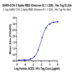 SARS-COV-2 Spike RBD (Omicron B.1.1.529) Protein (COV-VM1RO)