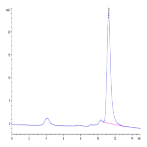 SARS-COV-2 Spike RBD (Omicron B.1.1.529) Protein (COV-VM1RO)