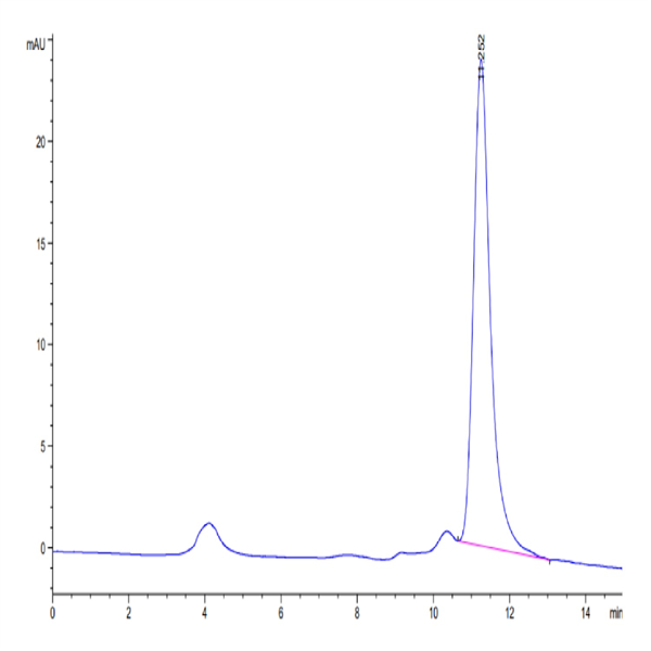 SARS-COV-2 Spike RBD (Omicron B.1.1.529) Protein (COV-VM1RO)