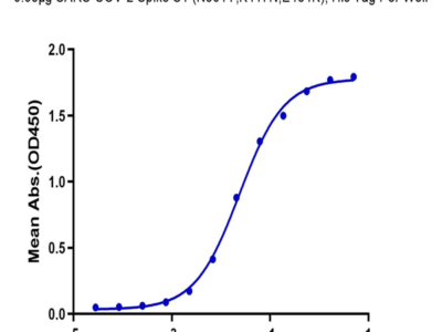 SARS-COV-2 Spike S1 (N501Y