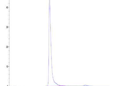 SARS-COV-2 Spike S1 Protein (COV-VM2S1)