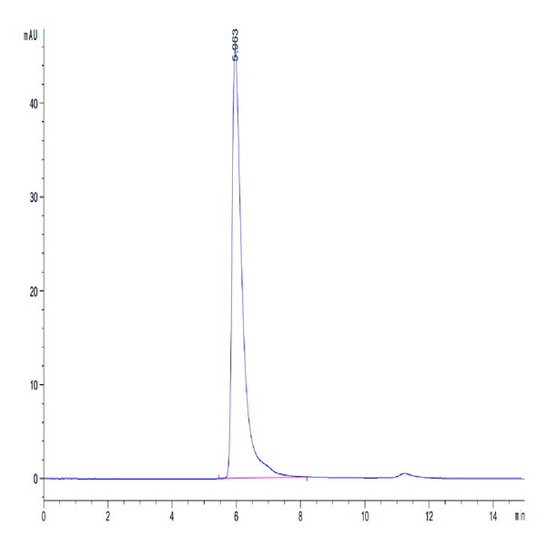 SARS-COV-2 Spike S1 Protein (COV-VM2S1)