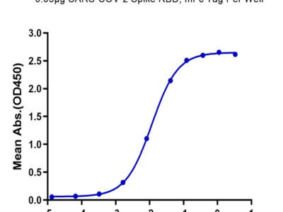 SARS-COV-2 Spike RBD Protein (COV-VM3BD)