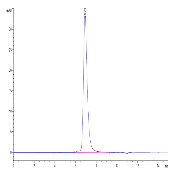 SARS-COV-2 Spike RBD Protein (COV-VM3BD)