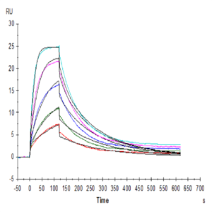 SARS-COV-2 Spike RBD Protein (COV-VM4BD)