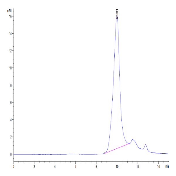 SARS-COV-2 Spike RBD Protein (COV-VM4BD)