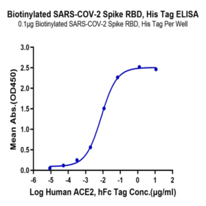 Biotinylated SARS-COV-2 Spike RBD Protein (COV-VM4BDB)