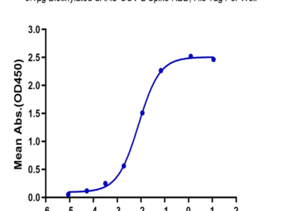 Biotinylated SARS-COV-2 Spike RBD Protein (COV-VM4BDB)