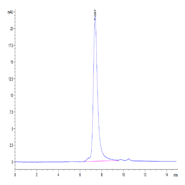 Biotinylated SARS-COV-2 Spike RBD Protein (COV-VM4BDB)