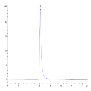 SARS-COV-2 Spike S Trimer (D614G) Protein (COV-VM4LG)
