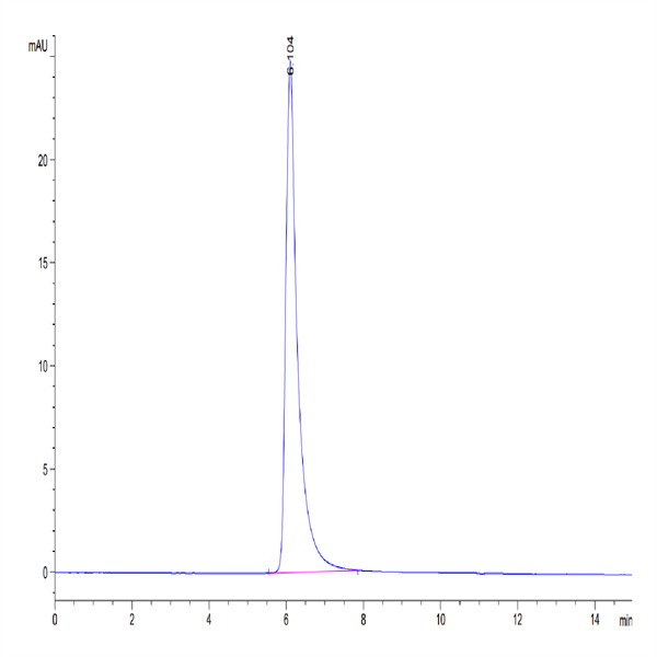 SARS-COV-2 Spike S Trimer (D614G) Protein (COV-VM4LG)