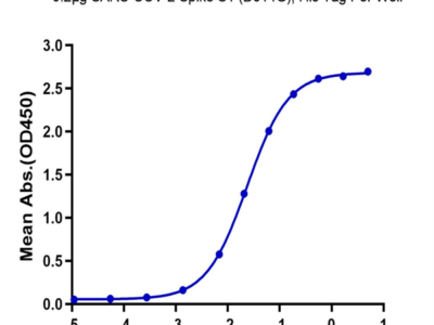 SARS-COV-2 Spike S1 (D614G) Protein (COV-VM4SG)