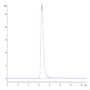 SARS-COV-2 Spike S1 (D614G) Protein (COV-VM4SG)