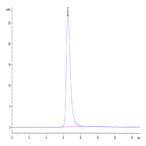 SARS-COV-2 Spike S1 (D614G) Protein (COV-VM4SG)