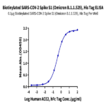 Biotinylated SARS-COV-2 Spike S1 (Omicron B.1.1.529) Protein (COV-VM4SOB)