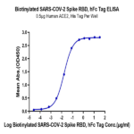 Biotinylated SARS-COV-2 Spike RBD Protein (COV-VM5BDB)