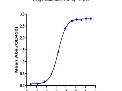 Biotinylated SARS-COV-2 Spike RBD Protein (COV-VM5BDB)