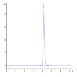 Biotinylated SARS-COV-2 Spike RBD Protein (COV-VM5BDB)