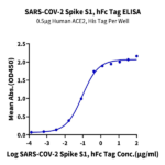 SARS-COV-2 Spike S1 Protein (COV-VM5S1)