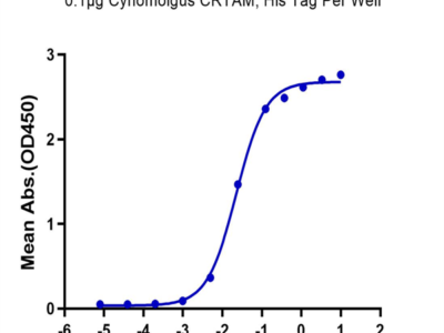 Cynomolgus CRTAM Protein (CRM-CM101)