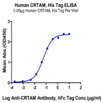 Human CRTAM Protein (CRM-HM101)