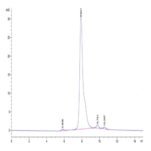 Cynomolgus C-Reactive Protein /CRP Protein (CRP-CM102)
